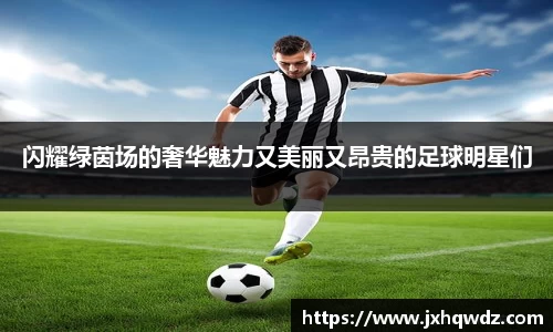 闪耀绿茵场的奢华魅力又美丽又昂贵的足球明星们